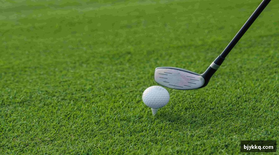 BB贝博体彩官方下载🎁球迷专属装备，让热爱触手可及！👕